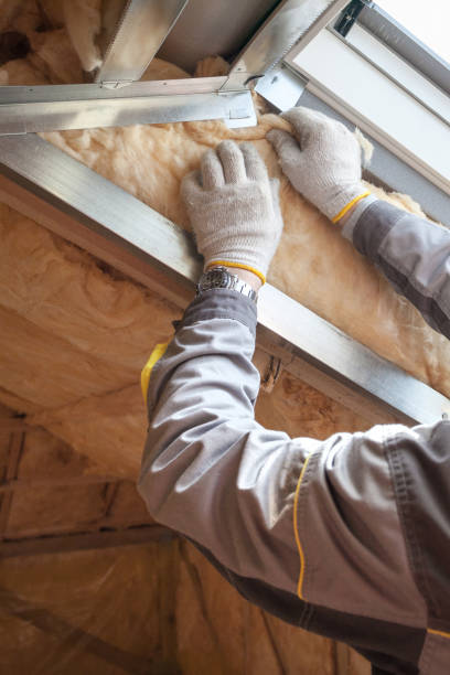 Types of Insulation We Offer in University Park, IL